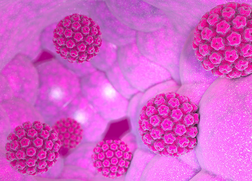 Hpv Hpv