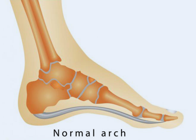 Biomechanics 01