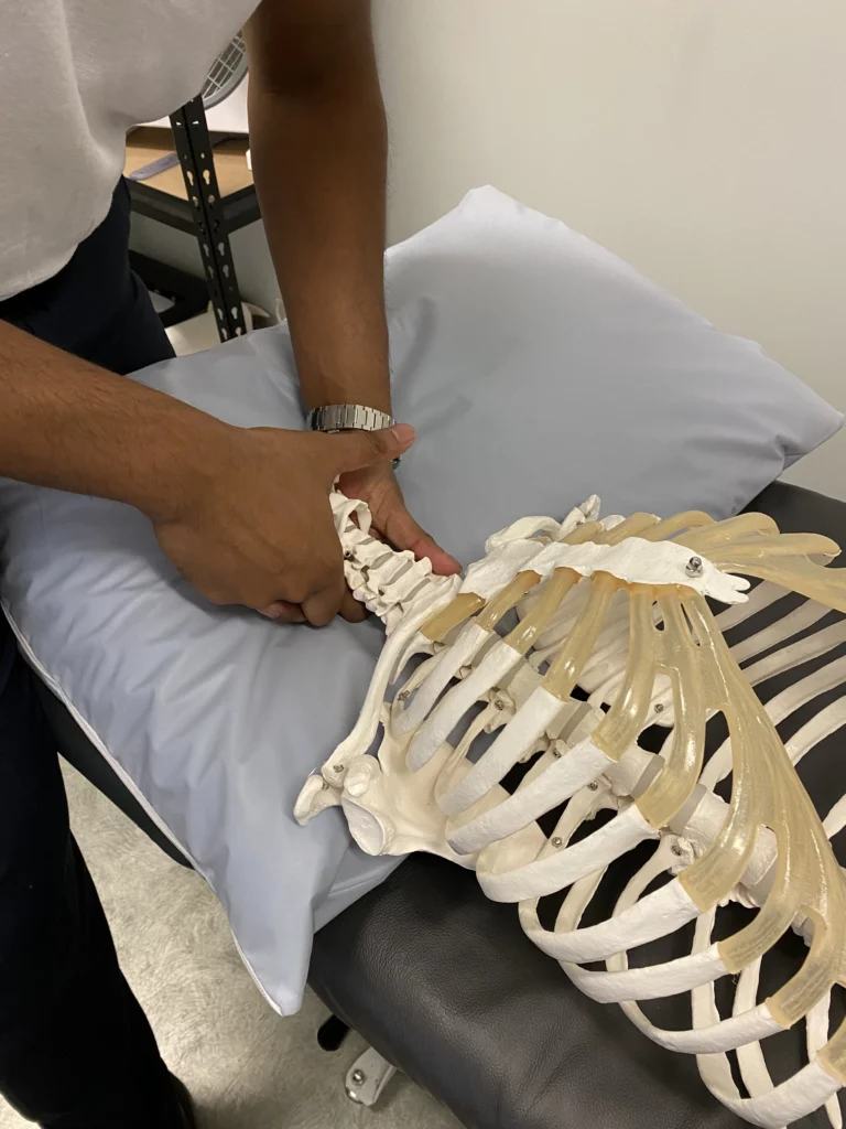 Manual Therapy