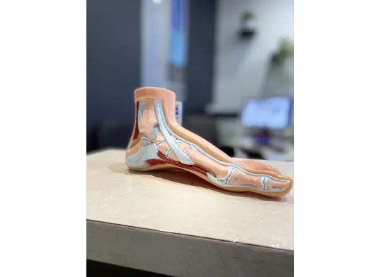 Plantar fasciitis can be treated by a podiatrist in a foot clinic