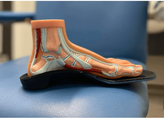 Orthotics Moonee Ponds